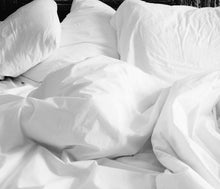 Load image into Gallery viewer, Air Freshener and Deodorizer Aerosol