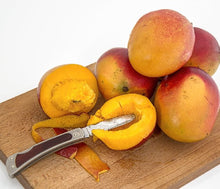 Load image into Gallery viewer, Air Freshener and Deodorizer Aerosol