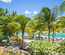 Load image into Gallery viewer, Air Freshener and Deodorizer Aerosol