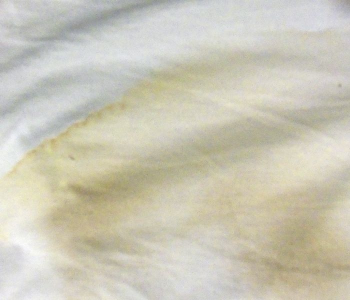 Laundry Protein Release